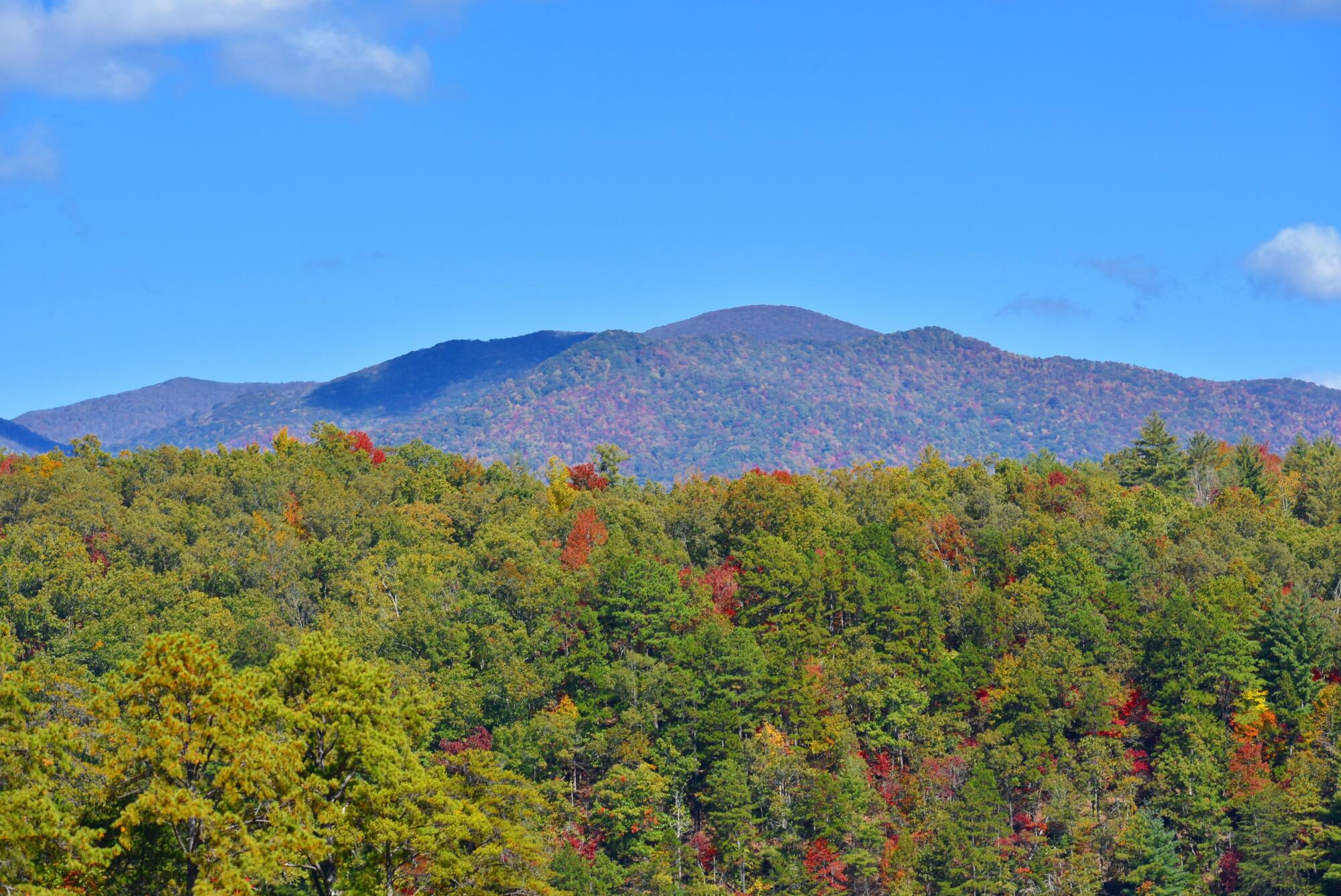 things to do in Pigeon Forge